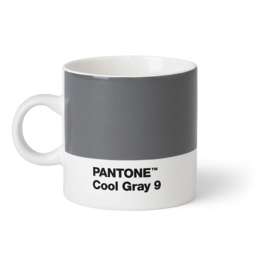 Pantone Espresso Cup, Cool Gray 9