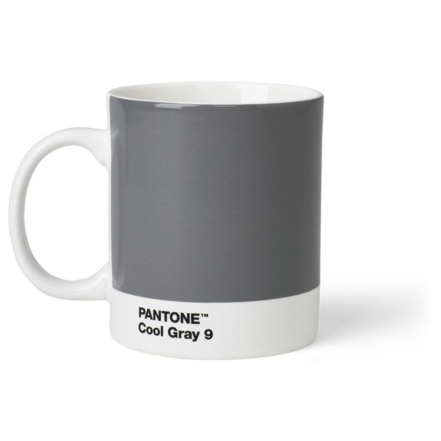 Pantone Mug, Cool Gray 9