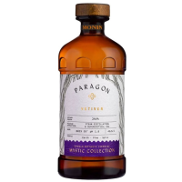 Monin Paragon Cordial Vetiver drinkmix 48,5 cl