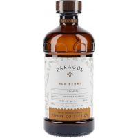 Monin Paragon Cordial Rue Berry -mixer 48,5 cl