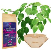 KOLO Design Filter Paper Holder x Crema Royalty Blend 250 g