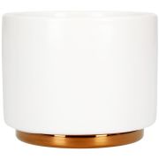 Fellow Monty Cappuccino Cup 192 ml, Matte White