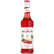 Monin Spicy smaksirap 700 ml