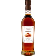 Nexus Caramel syrup 700 ml