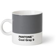 Pantone Espresso Cup, Cool Gray 9